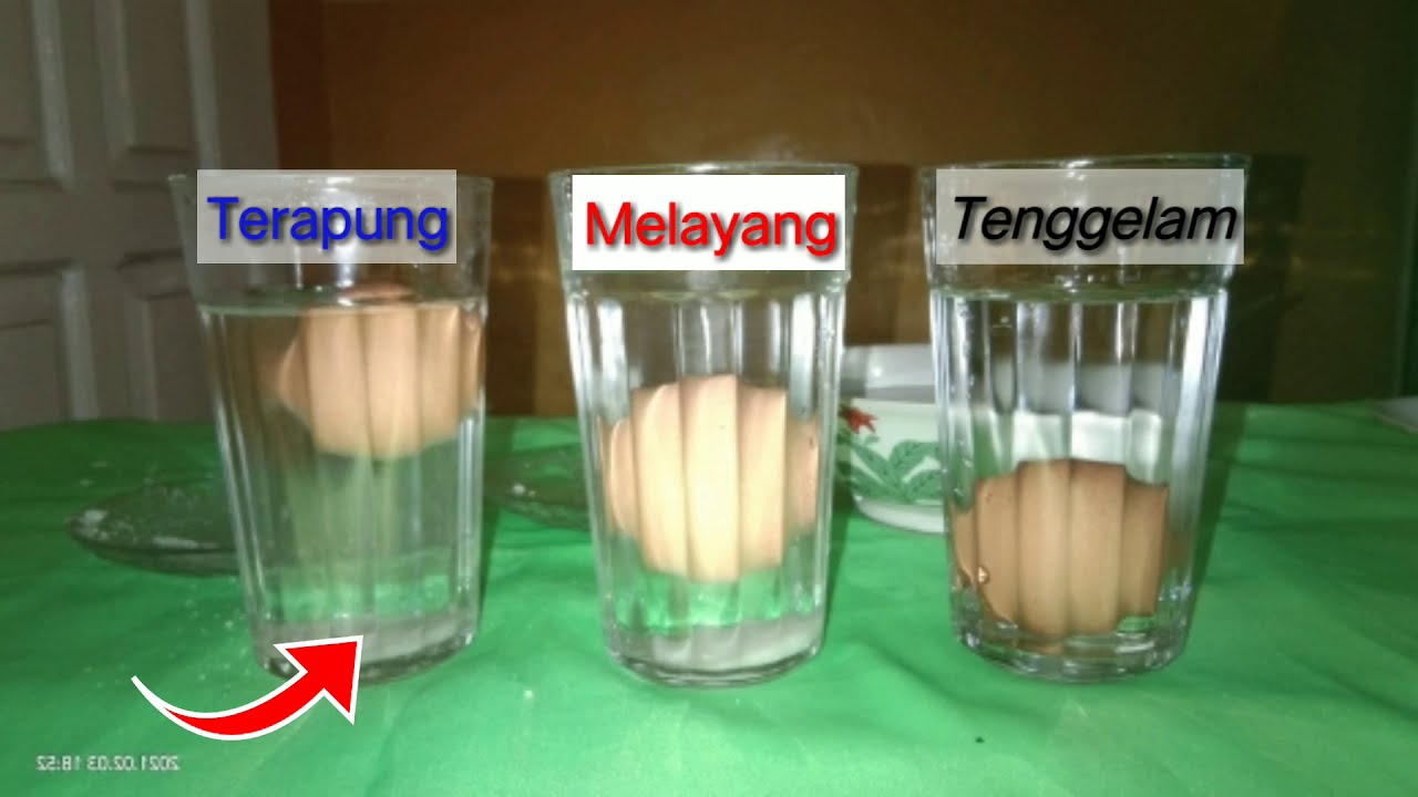 Telur Melayang di Air Garam